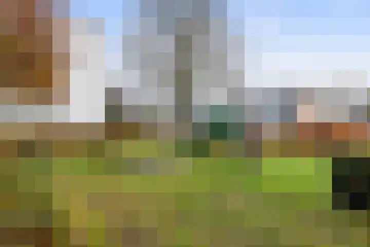 Eburonenstraat 79 Apeldoorn thumbnail 33