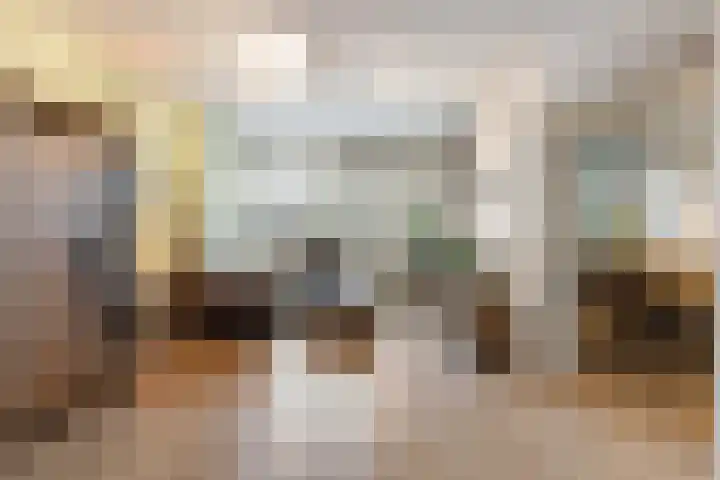 Eburonenstraat 79 Apeldoorn thumbnail 4