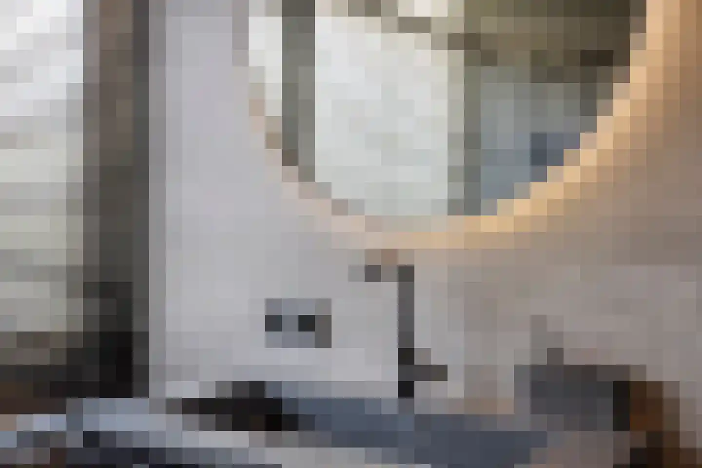 Eburonenstraat 83 Apeldoorn thumbnail 16