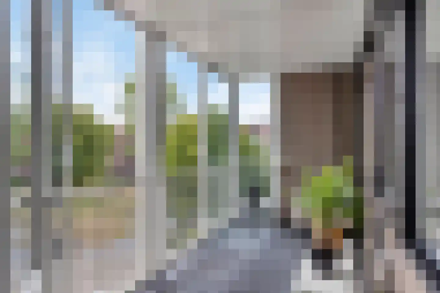 Eburonenstraat 83 Apeldoorn thumbnail 22