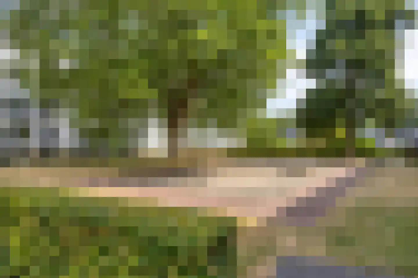 Eburonenstraat 83 Apeldoorn thumbnail 26