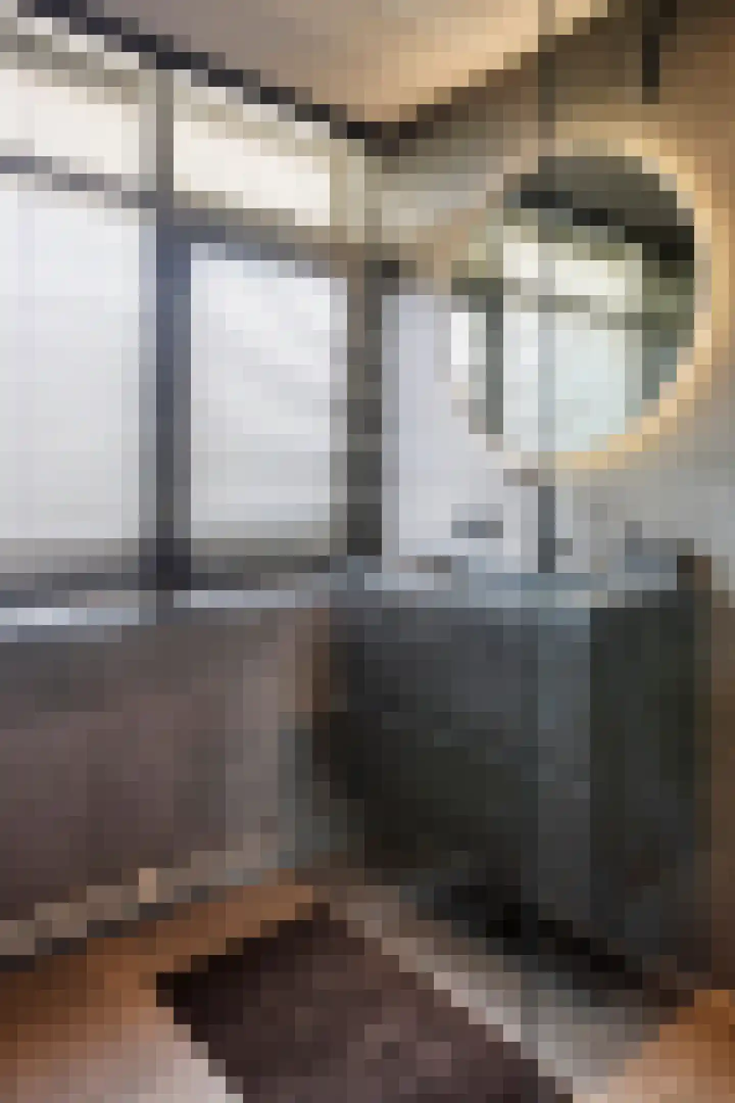 Eburonenstraat 83 Apeldoorn thumbnail 32