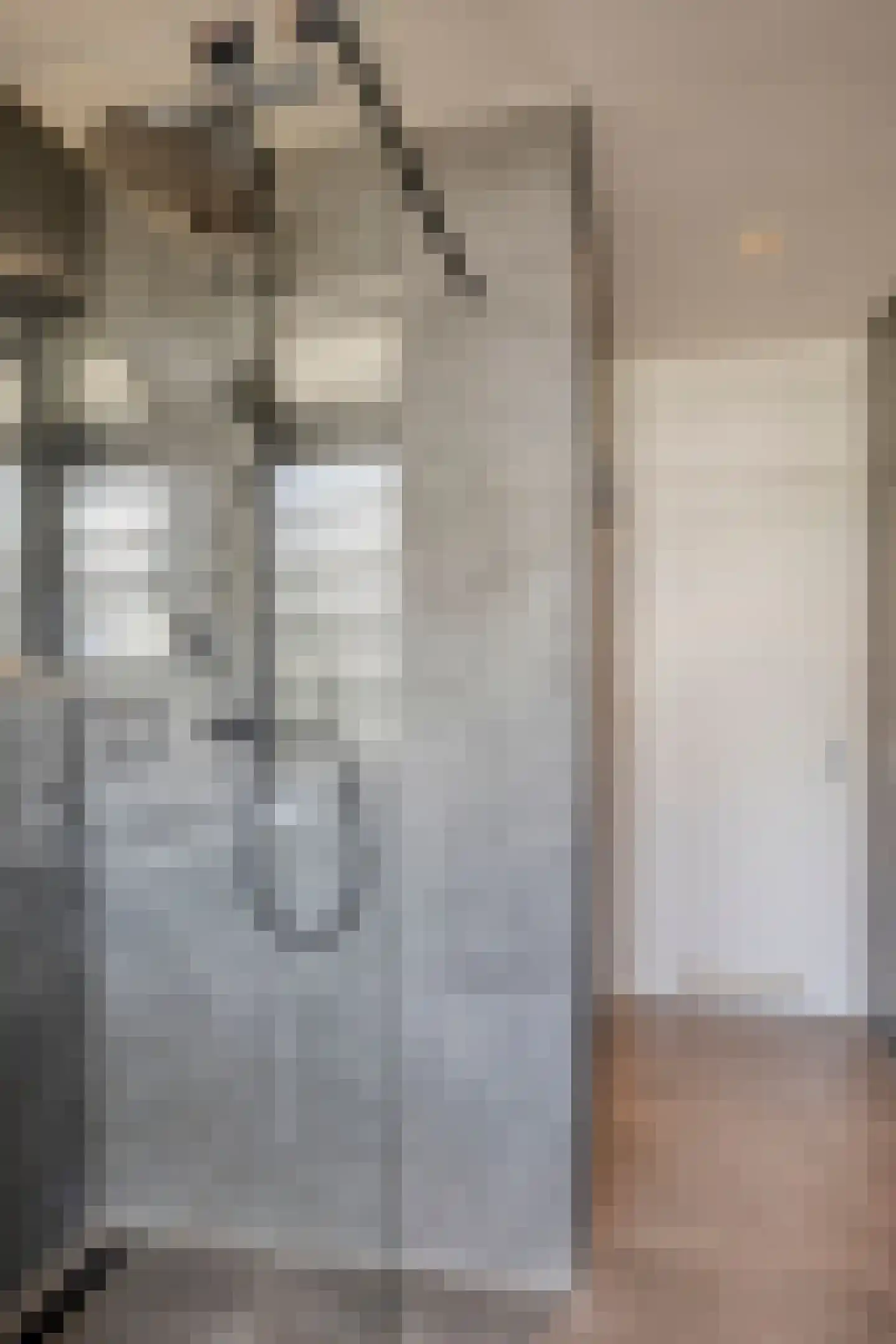 Eburonenstraat 83 Apeldoorn thumbnail 33