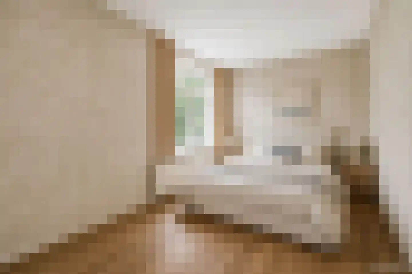 Eburonenstraat 97 Apeldoorn thumbnail 14