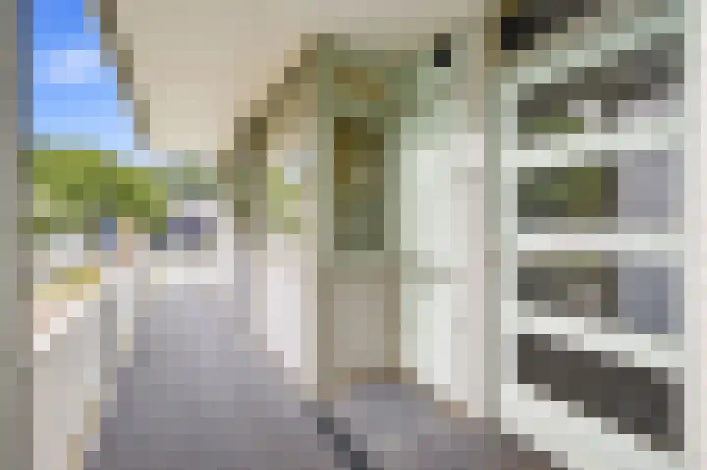 Eburonenstraat 97 Apeldoorn thumbnail 19