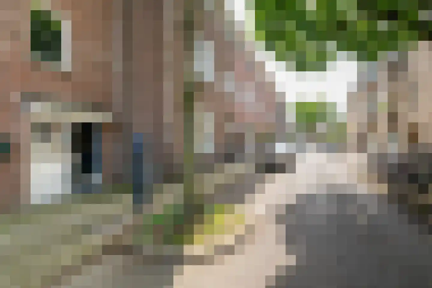 Eburonenweg 45 D Maastricht thumbnail 35