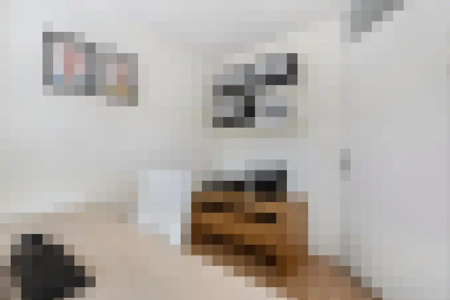 Echobos 18 Ede thumbnail 19