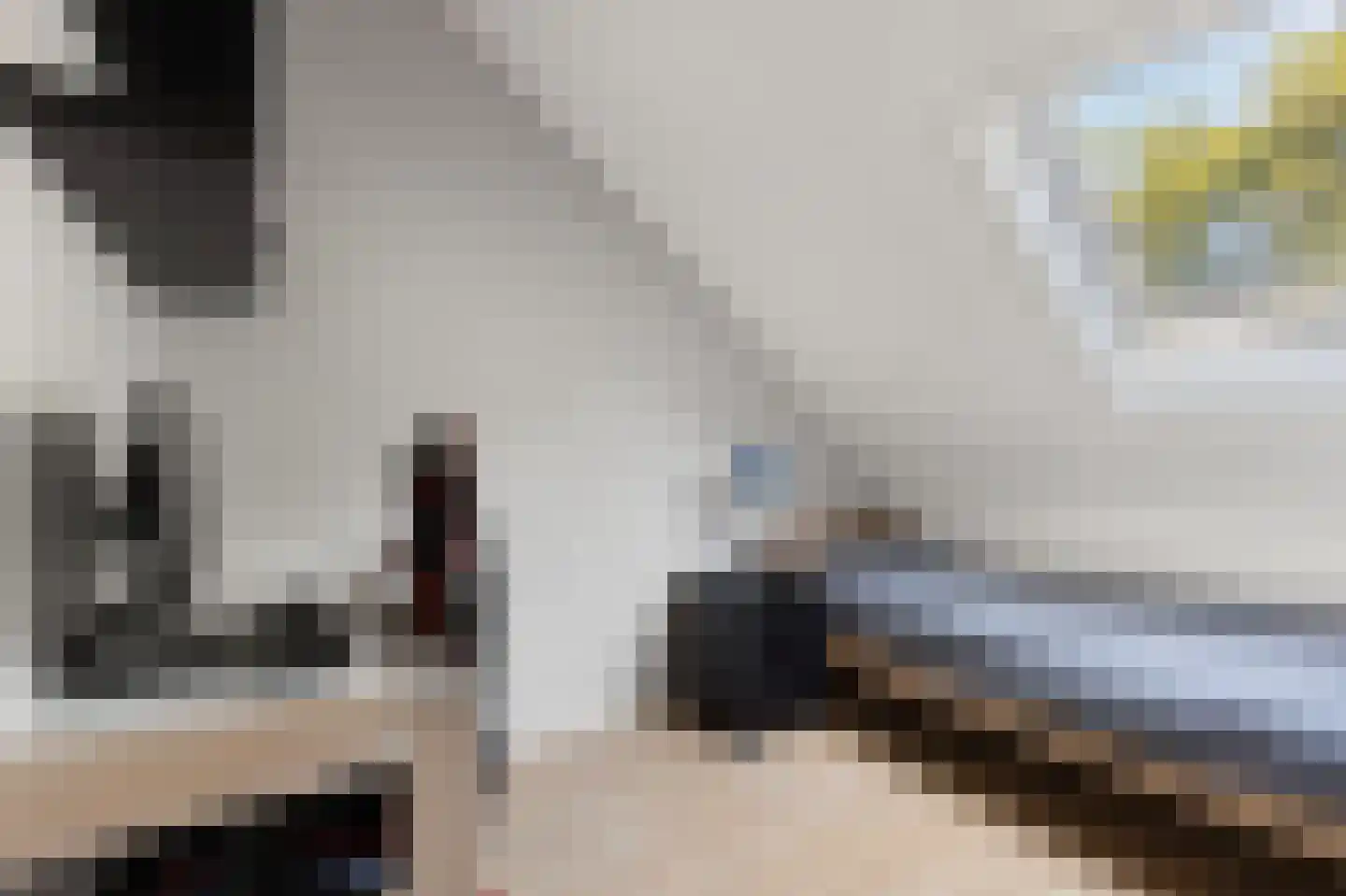 Echobos 18 Ede thumbnail 21