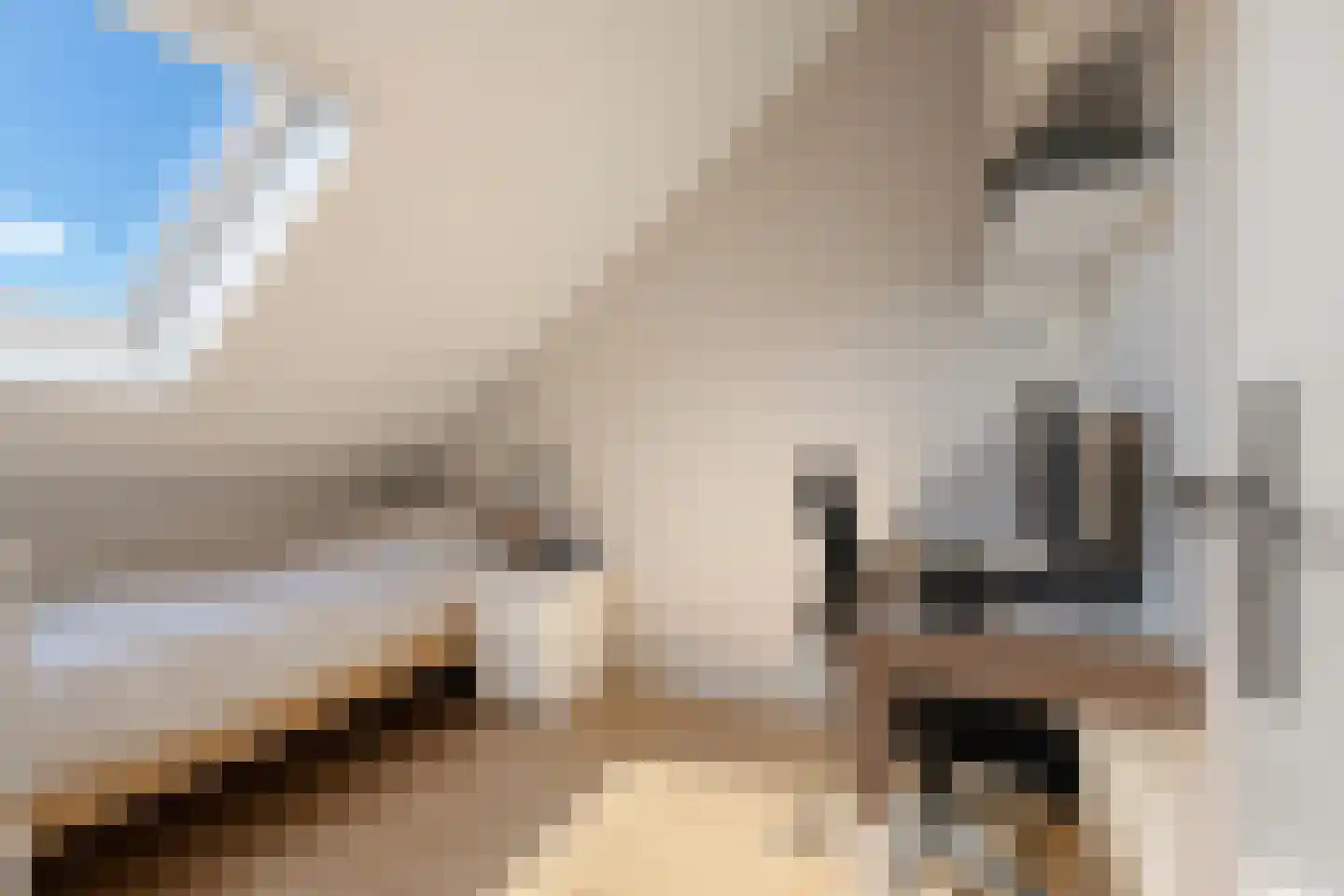 Echobos 18 Ede thumbnail 23