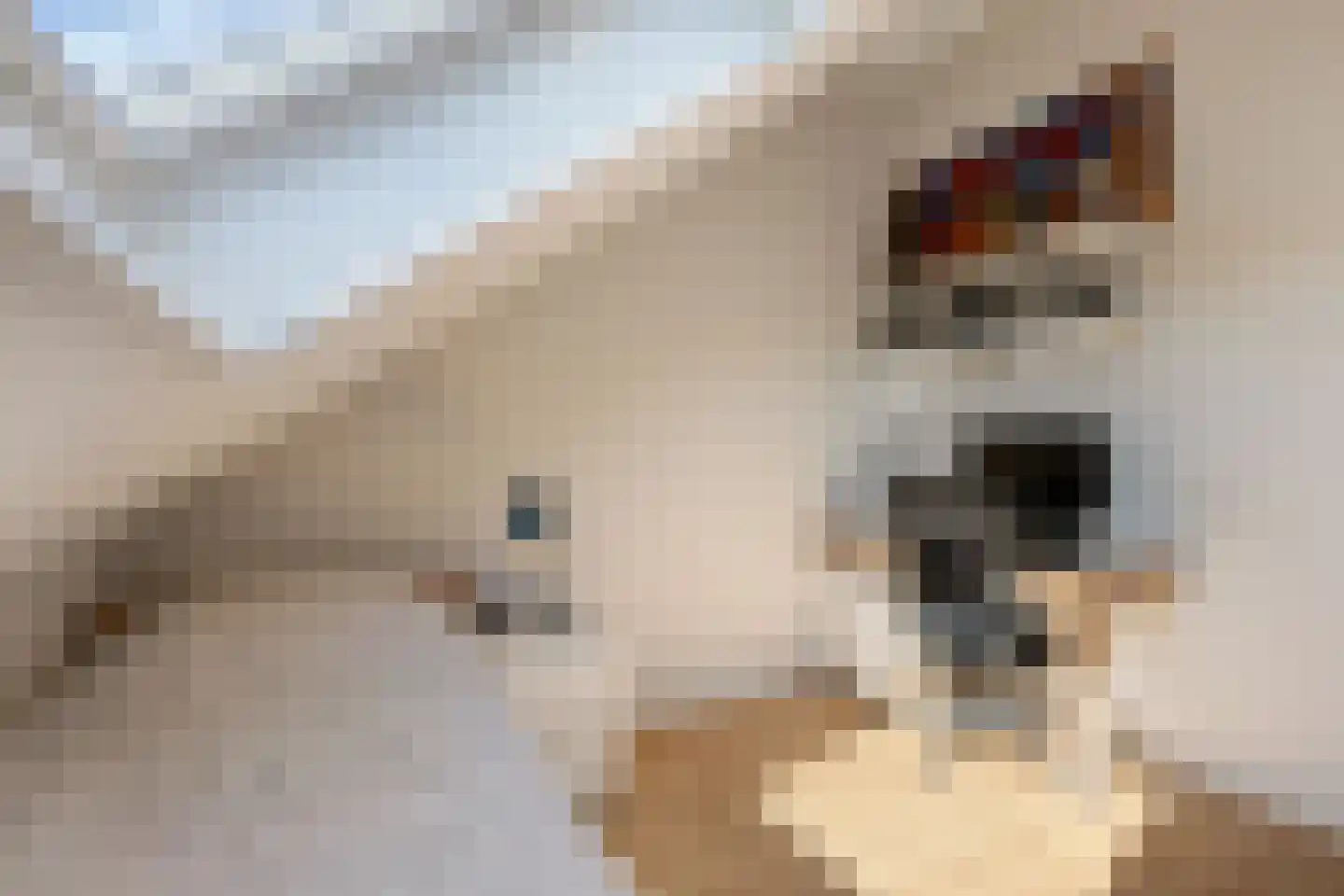Echobos 18 Ede thumbnail 24