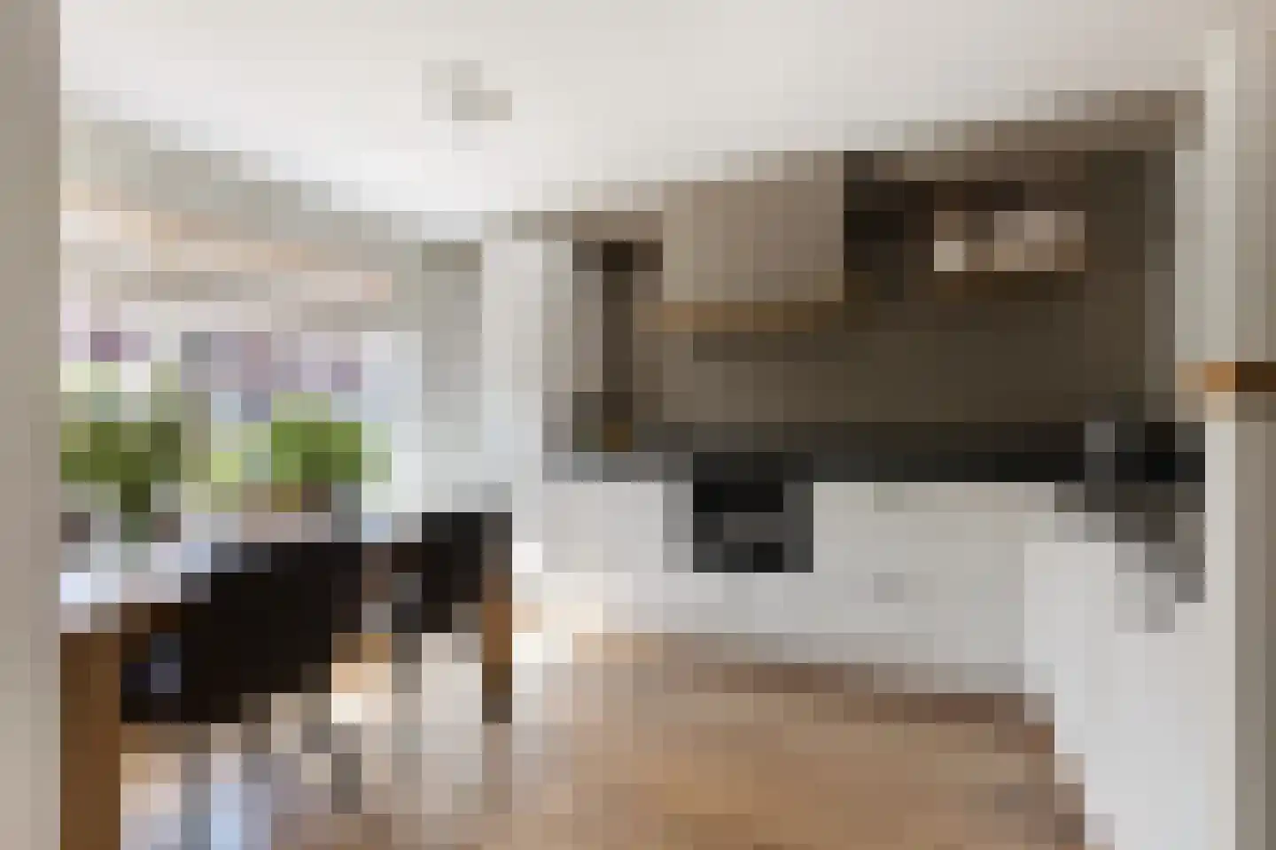 Echobos 18 Ede thumbnail 4