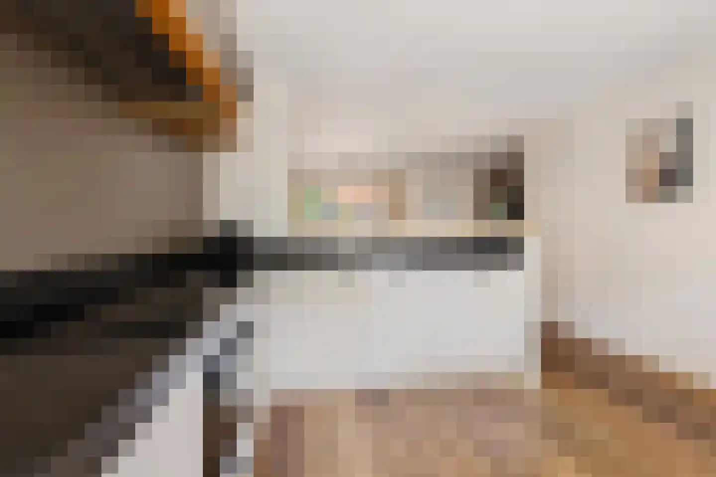 Echobos 18 Ede thumbnail 6