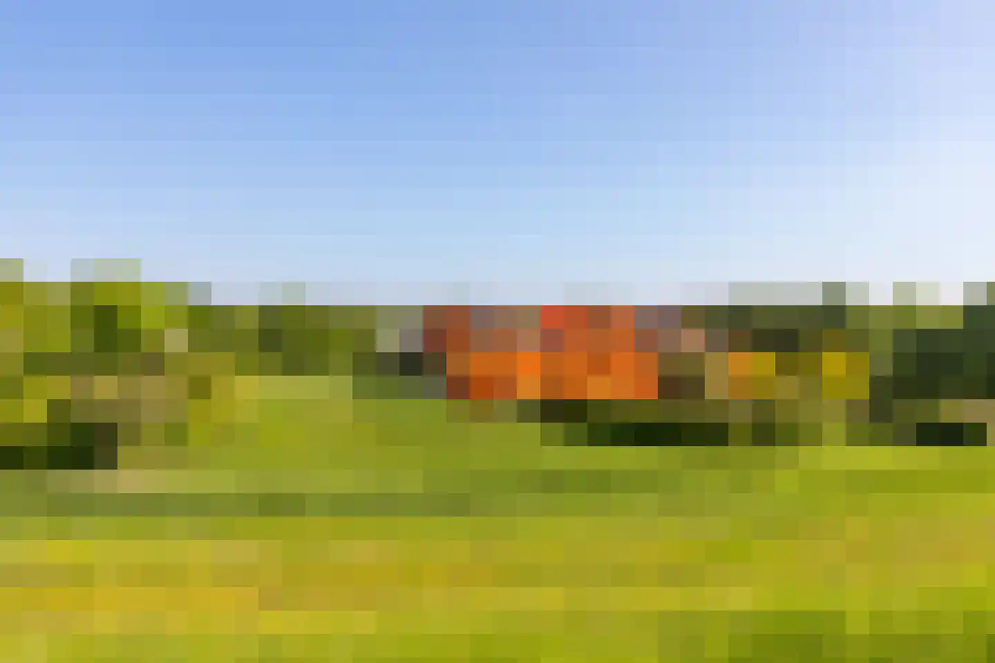 Echobos 30 Almere thumbnail 13