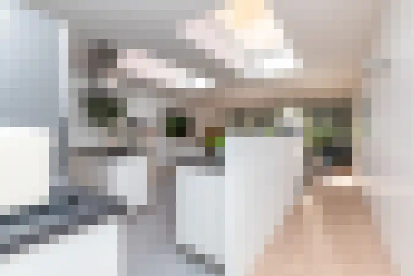 Echobos 30 Almere thumbnail 18