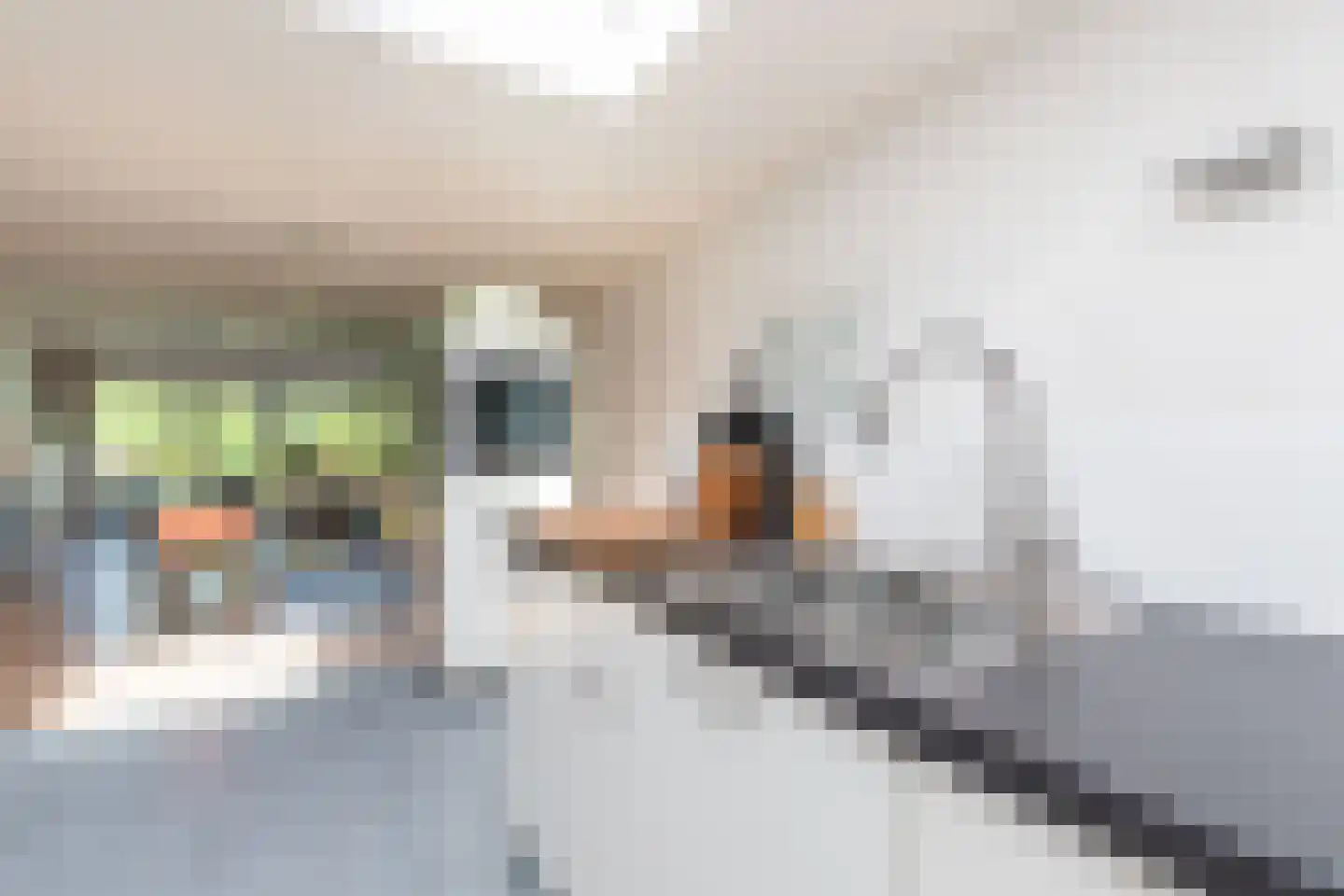 Echobos 30 Almere thumbnail 23