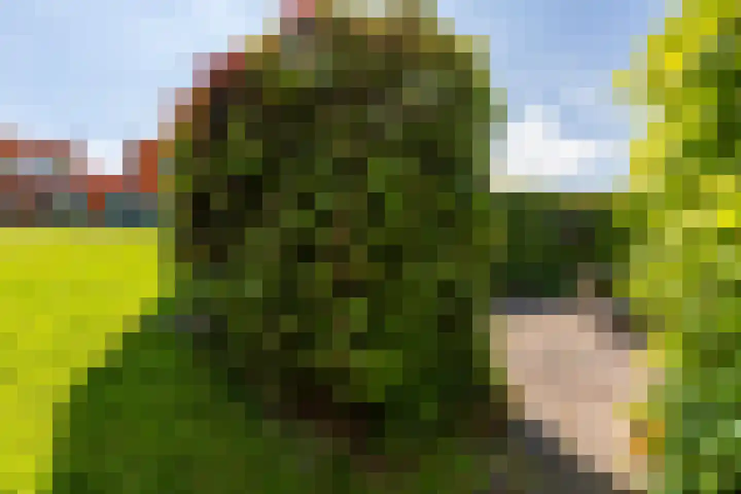 Echobos 30 Almere thumbnail 31