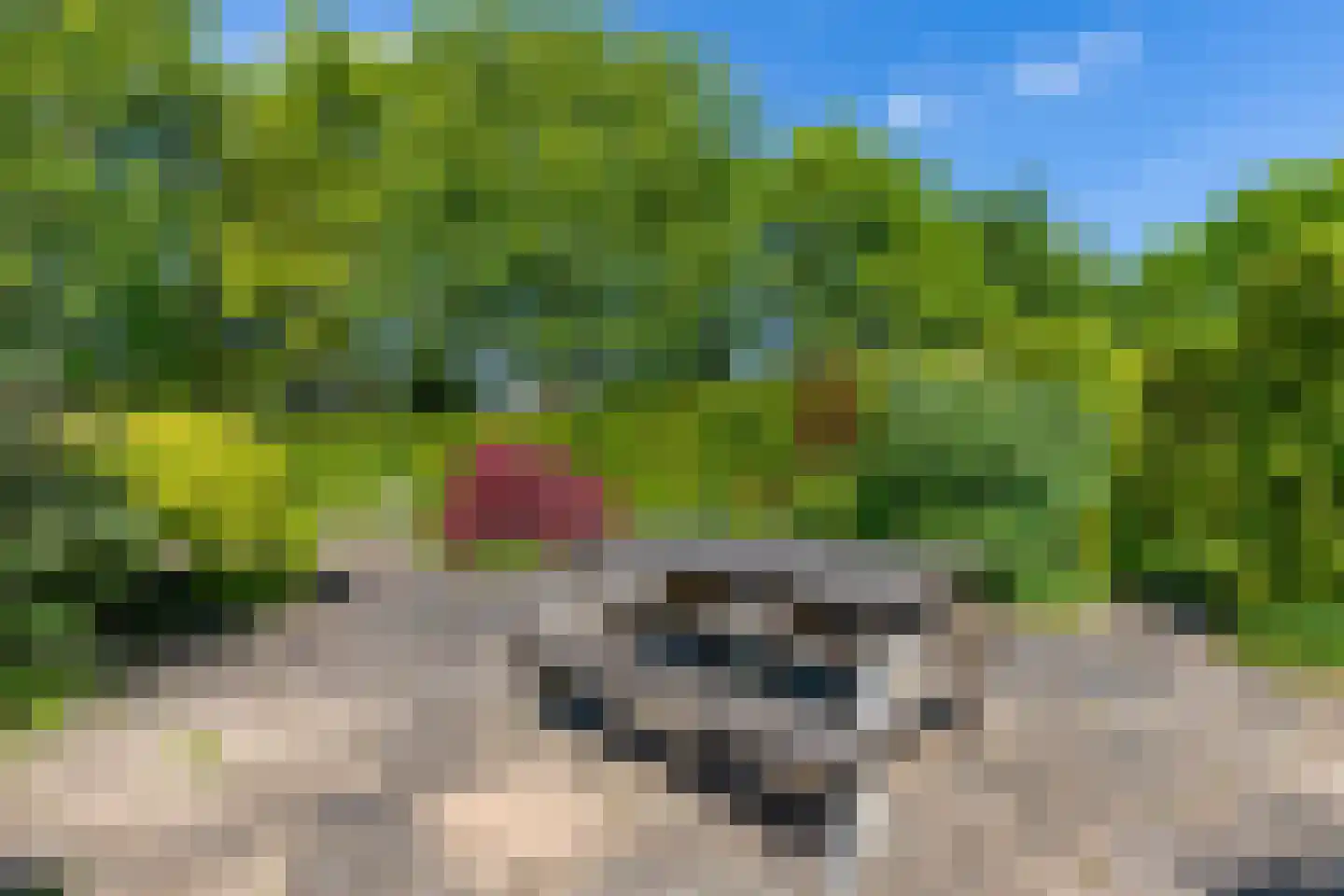 Echobos 30 Almere thumbnail 32