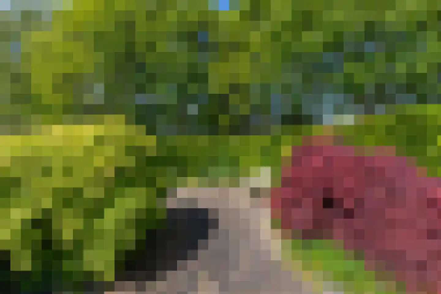 Echobos 30 Almere thumbnail 33