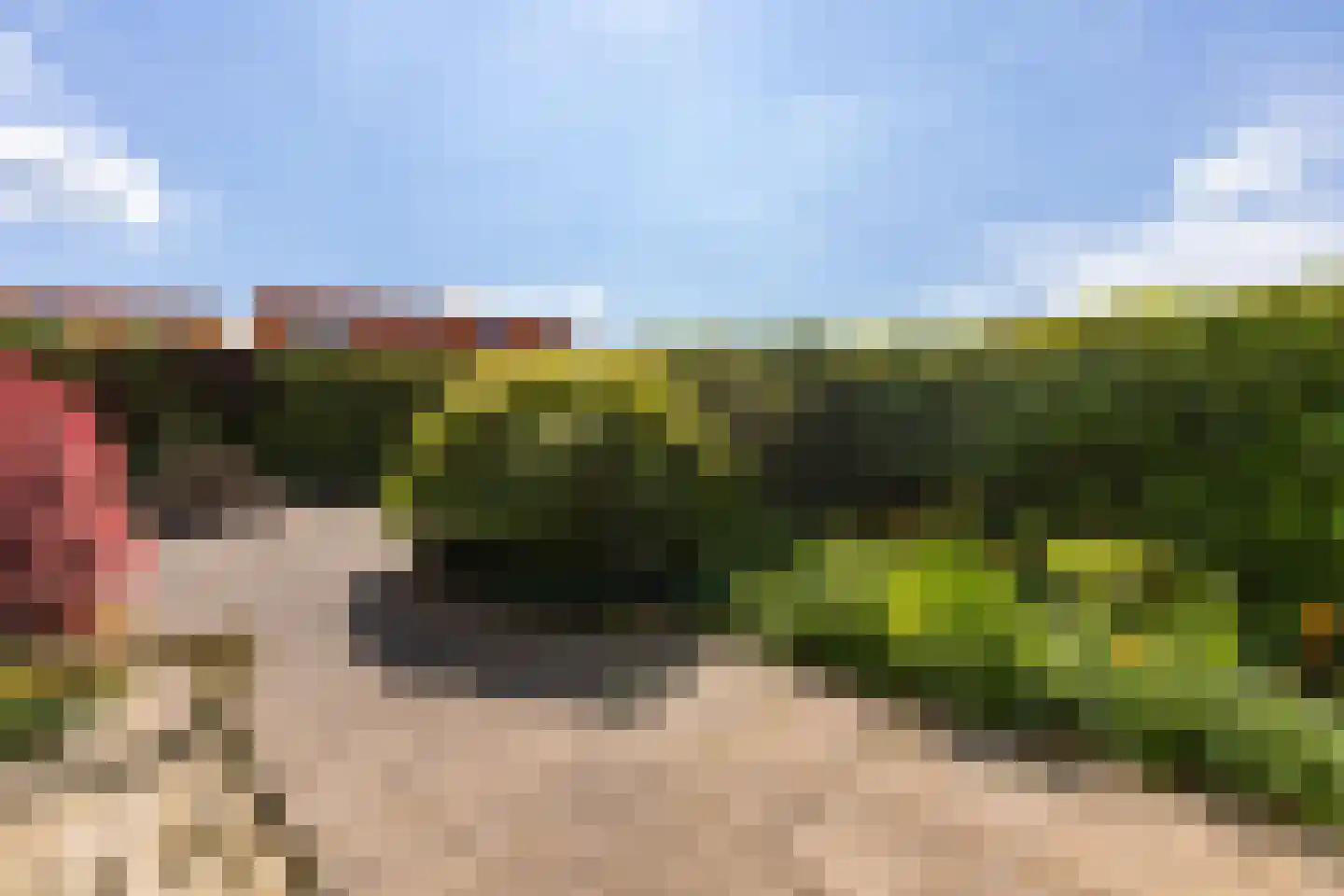 Echobos 30 Almere thumbnail 34