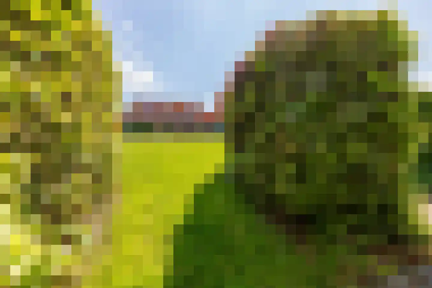 Echobos 30 Almere thumbnail 35