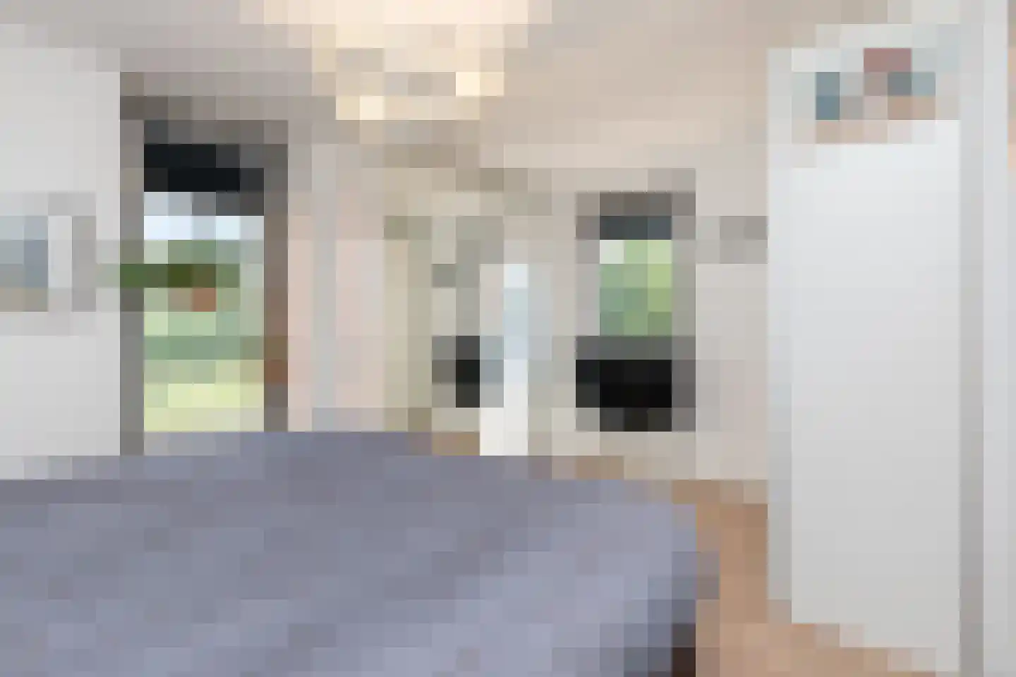 Echobos 30 Almere thumbnail 61