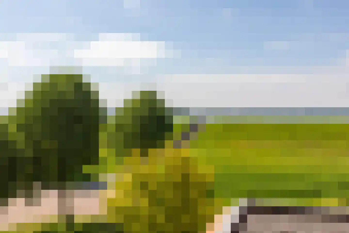 Echobos 30 Almere thumbnail 72