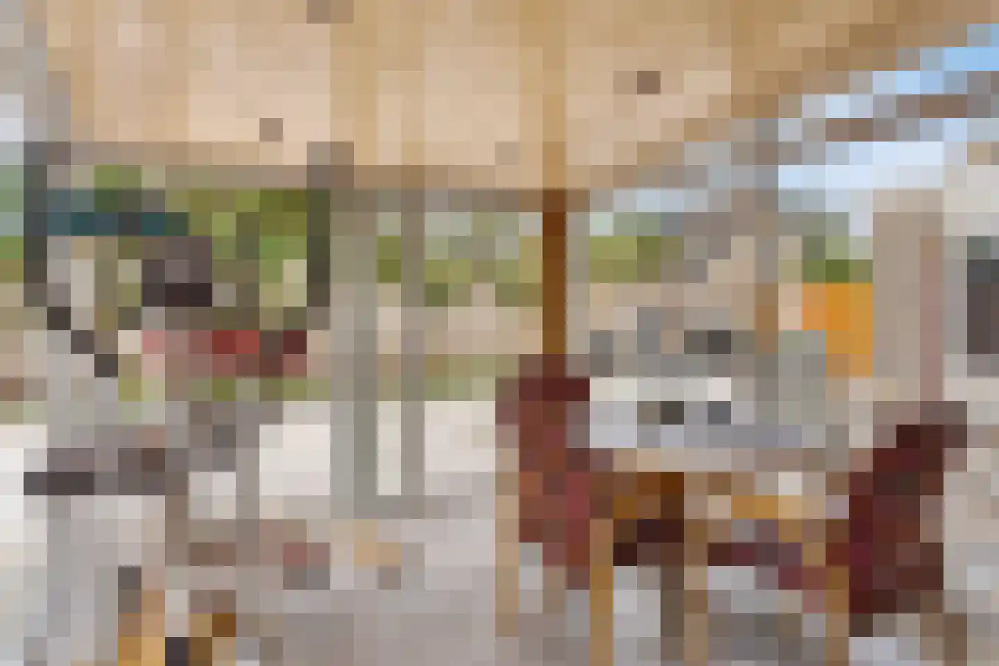 Echteldse Singel 19 Lienden thumbnail 16