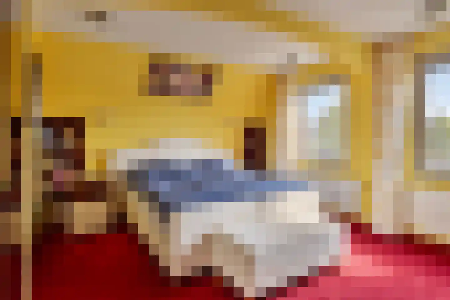 Echteldse Singel 19 Lienden thumbnail 17