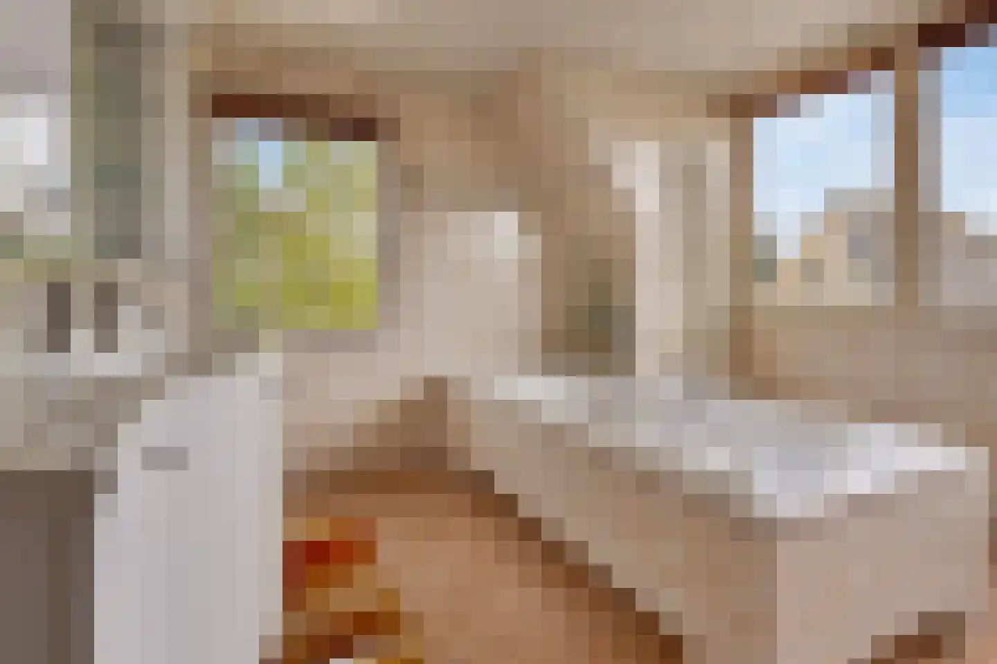 Echteldse Singel 19 Lienden thumbnail 20