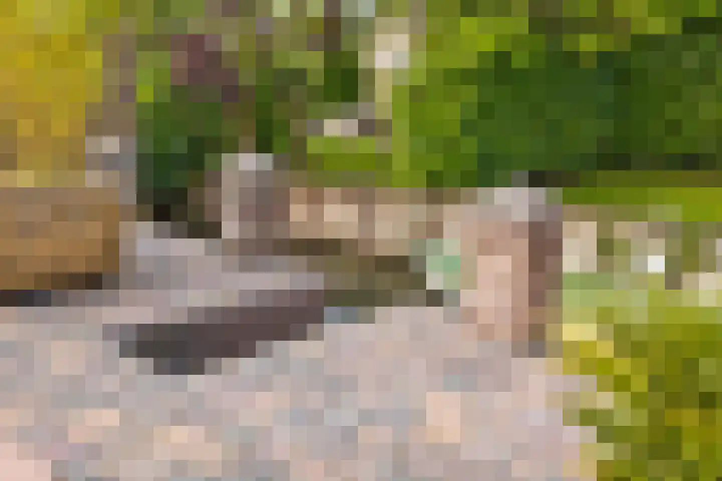 Echteldse Singel 19 Lienden thumbnail 24