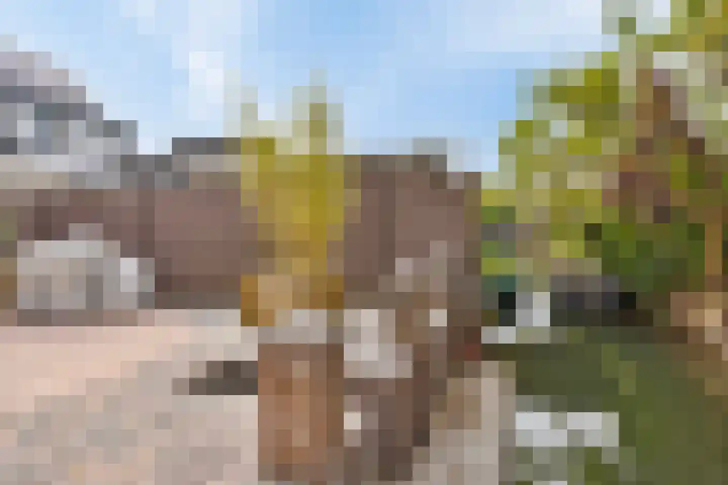 Echteldse Singel 19 Lienden thumbnail 25