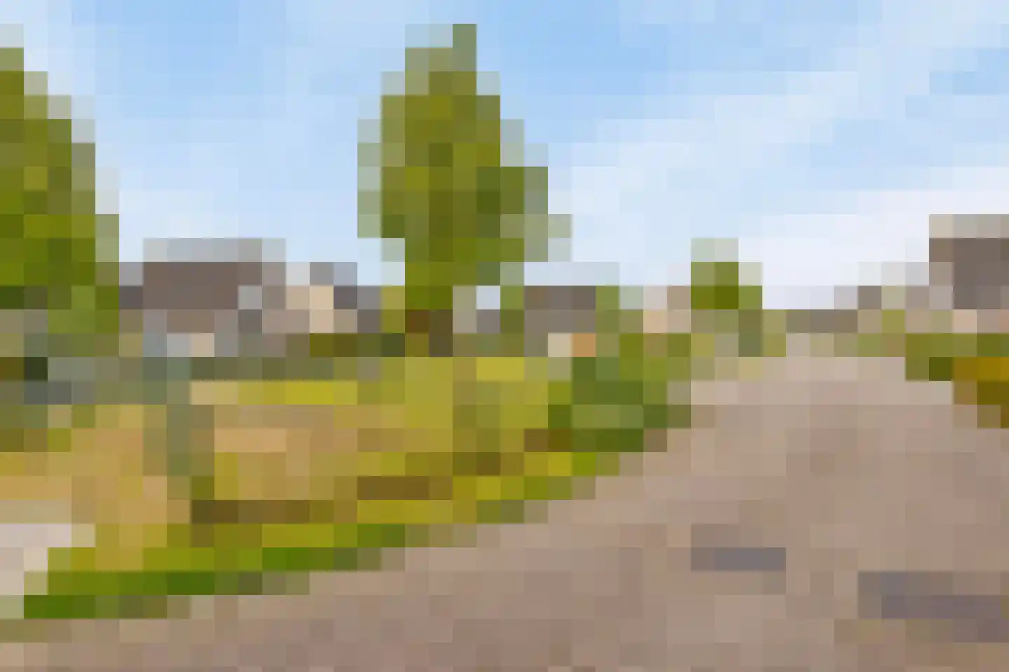 Echteldse Singel 19 Lienden thumbnail 26