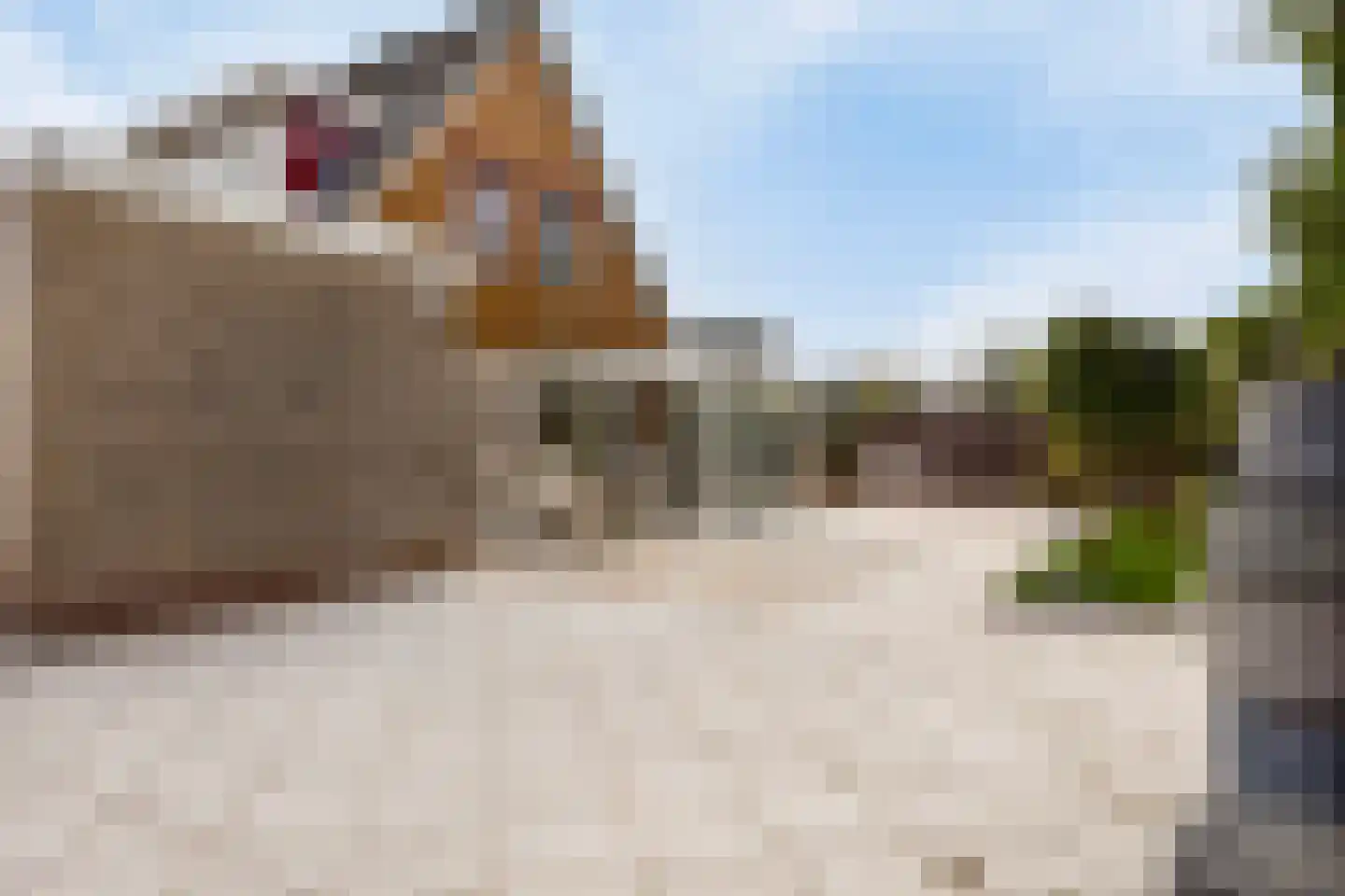 Echteldse Singel 19 Lienden thumbnail 4