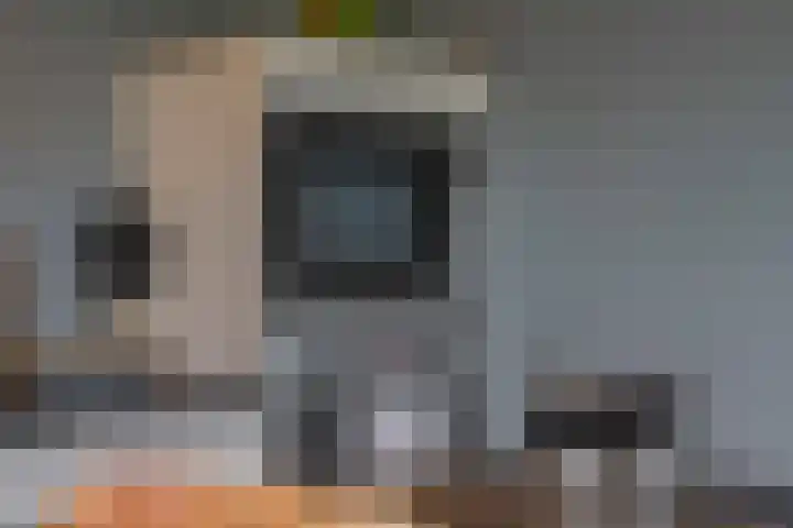 Echteldse Singel 33 Lienden thumbnail 19