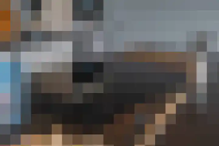 Echteldse Singel 33 Lienden thumbnail 21