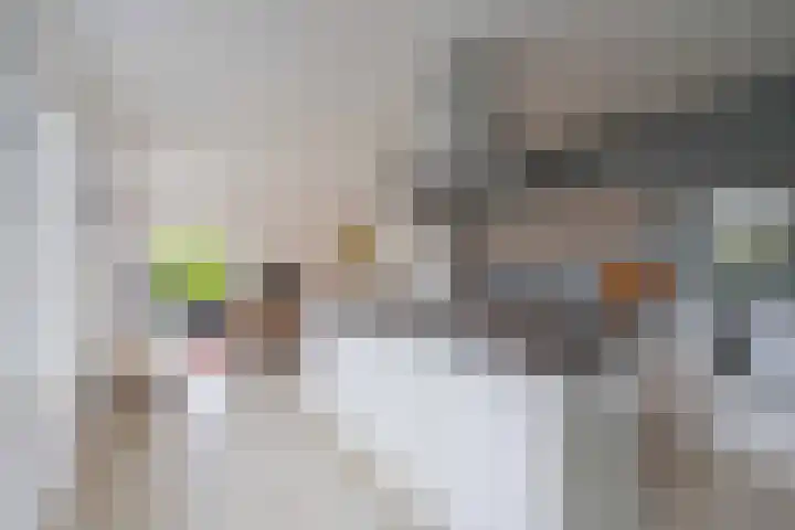 Echteldse Singel 33 Lienden thumbnail 22
