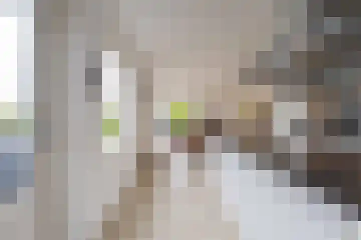 Echteldse Singel 33 Lienden thumbnail 24