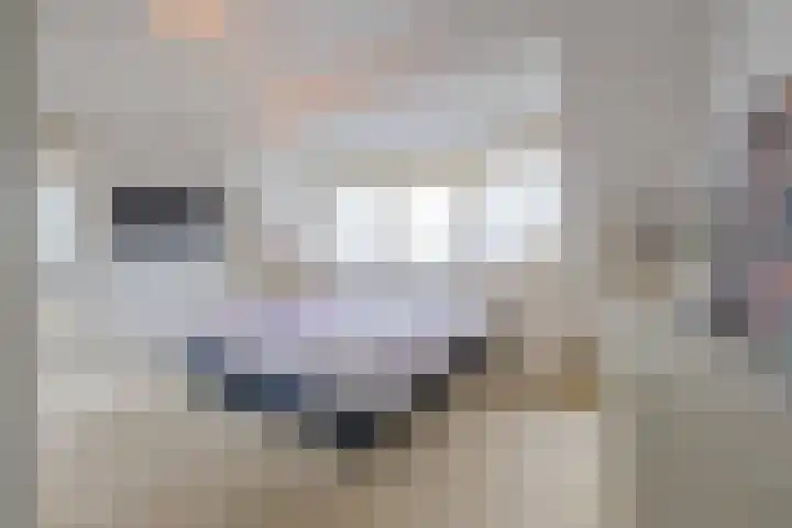 Echteldse Singel 33 Lienden thumbnail 32