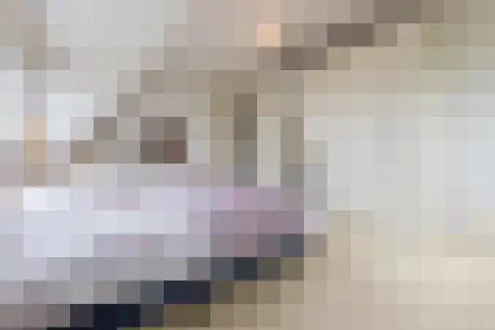 Echteldse Singel 33 Lienden thumbnail 35