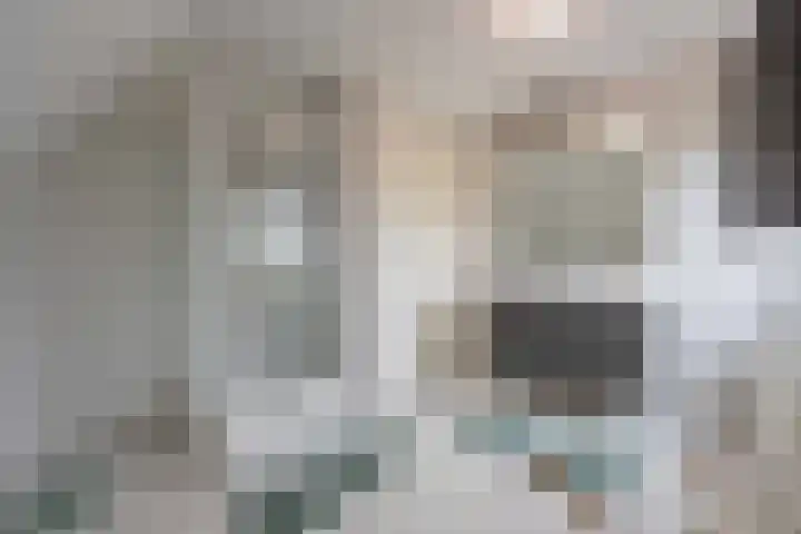 Echteldse Singel 33 Lienden thumbnail 39