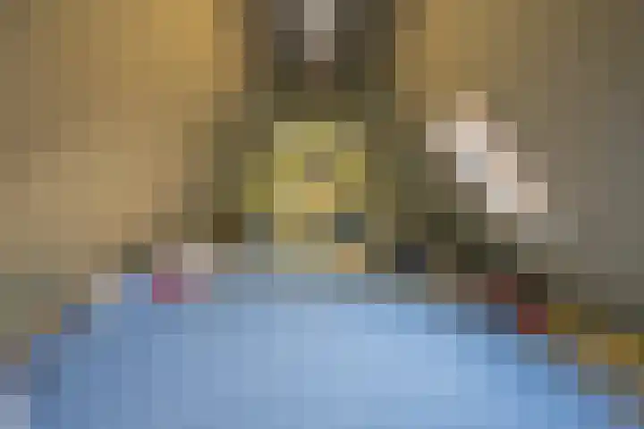 Echteldse Singel 33 Lienden thumbnail 43
