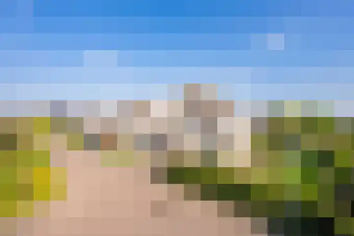 Echteldse Singel 33 Lienden thumbnail 45