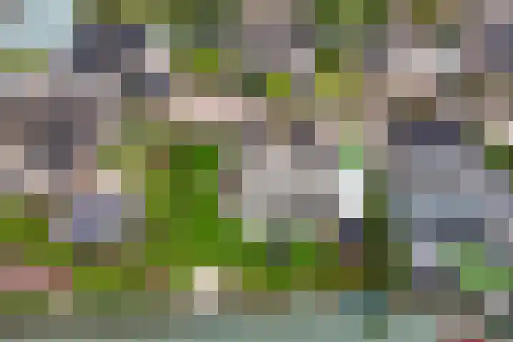 Echteldse Singel 33 Lienden thumbnail 51
