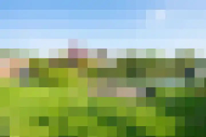 Echteldse Singel 33 Lienden thumbnail 52