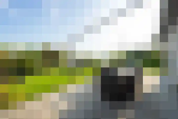 Echteldse Singel 33 Lienden thumbnail 57