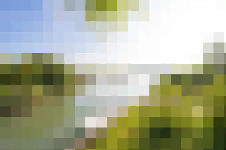 Echteldse Singel 33 Lienden thumbnail 59
