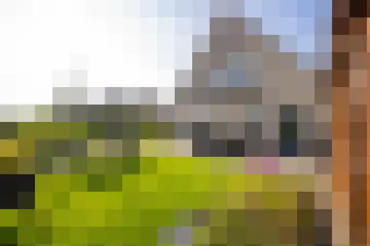 Echteldse Singel 33 Lienden thumbnail 60