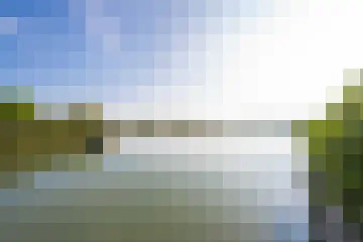 Echteldse Singel 33 Lienden thumbnail 63