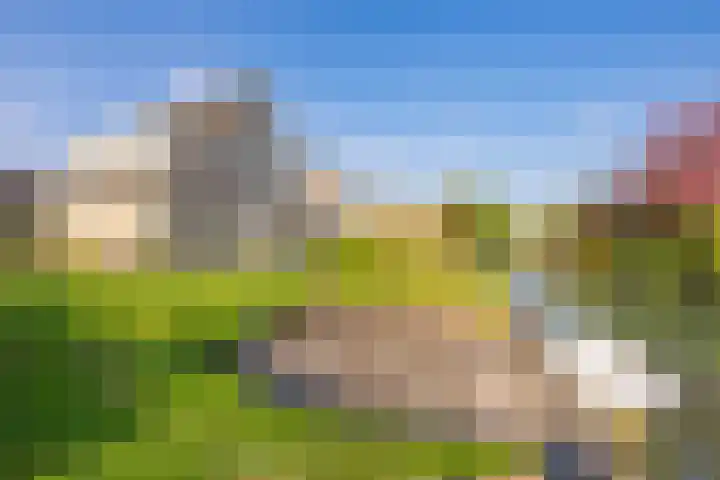 Echteldse Singel 33 Lienden thumbnail 64