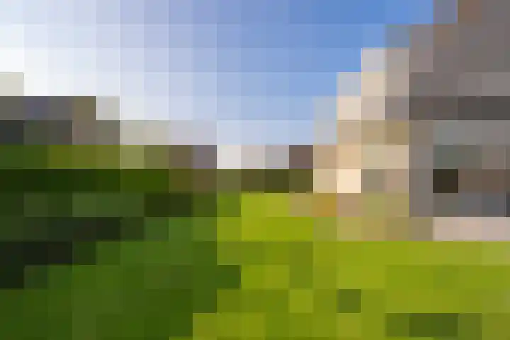 Echteldse Singel 33 Lienden thumbnail 66